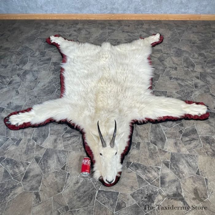 ZORN area area goat remix武道館MACCHO ZORN area area goat remix武道館MACCHO 豪華 ZORN area area