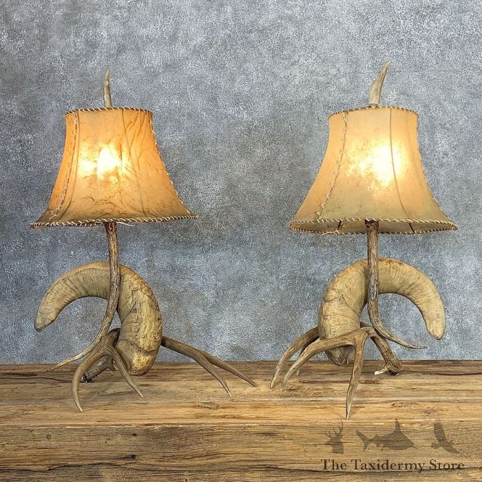 Bighorn Sheep Horn Lamp Set For Sale #21281 - The Taxidermy Store
