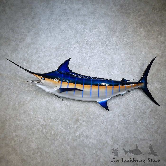 Blue Marlin Taxidermy Fish Mount For Sale
