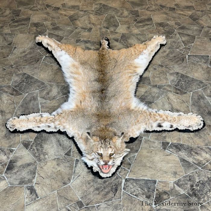 Bobcat Rug Mount For 28822 The Taxidermy