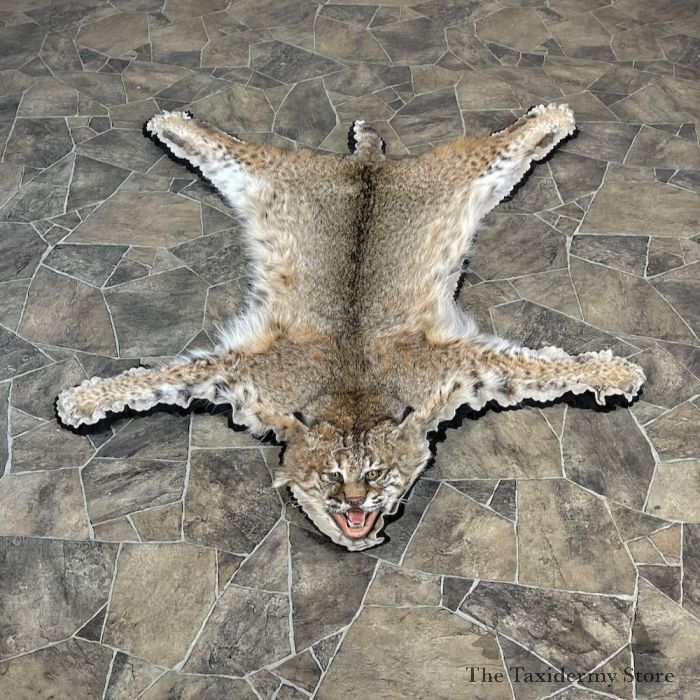 Bobcat Taxidermy Rug Mount For 27857 The