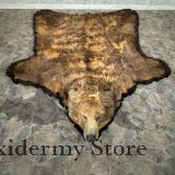 Grizzly Bear Full Size Rug Mount For Sale #29317 - The