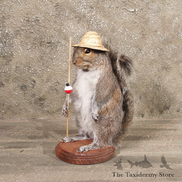Novelty Fishing Squirrel Mount #10085 - The Taxidermy Store