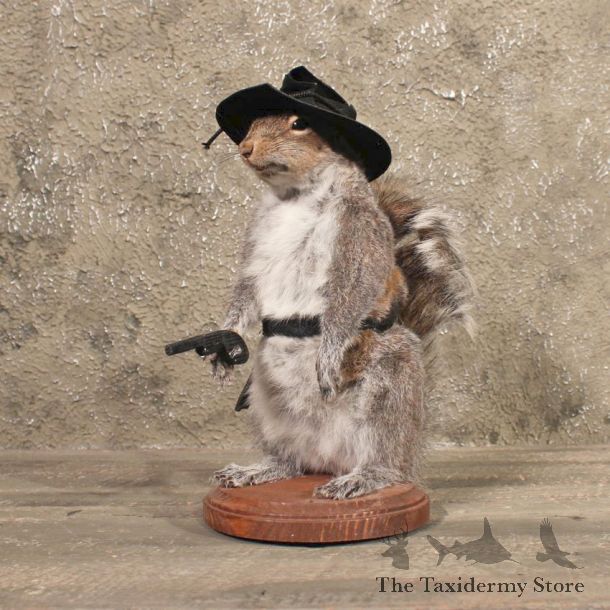 Novelty Cowboy Grey Squirrel #10479 - The Taxidermy Store