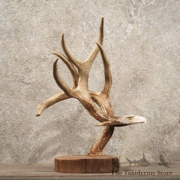 Eagle Carving on Whitetail Antler