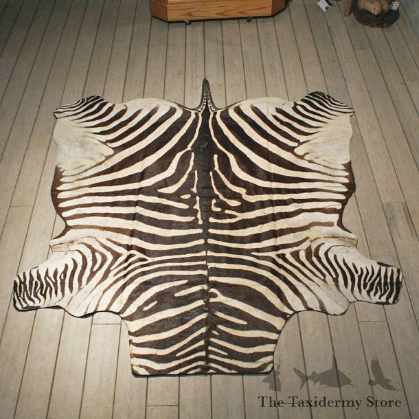 Zebra Rug Mount #10954 - The Taxidermy Store