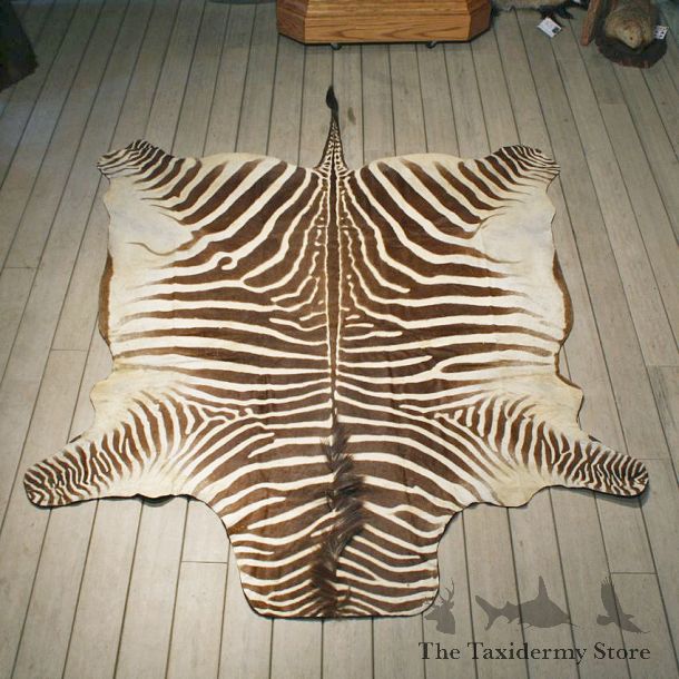 Zebra Rug Mount #10957 - The Taxidermy Store