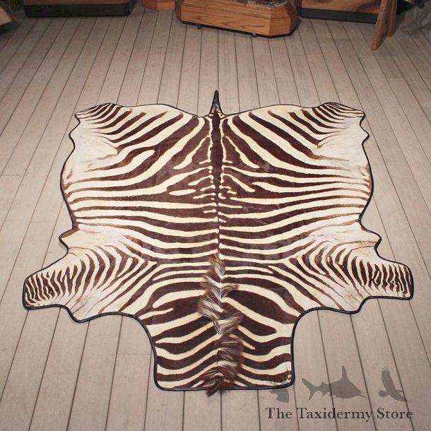 Zebra Rug Mount #11066 - The Taxidermy Store