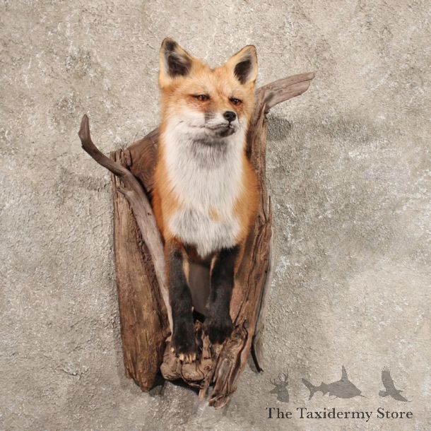 Wall Hanging Red Fox