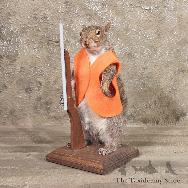 Novelty Hunter Grey Squirrel #11306 - The Taxidermy Store