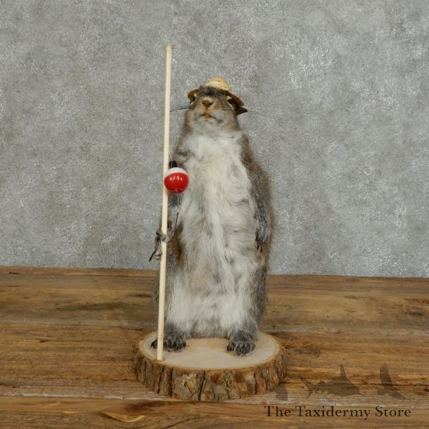 Fishing Squirrel Novelty Mount For Sale #16111 @ The Taxidermy Store