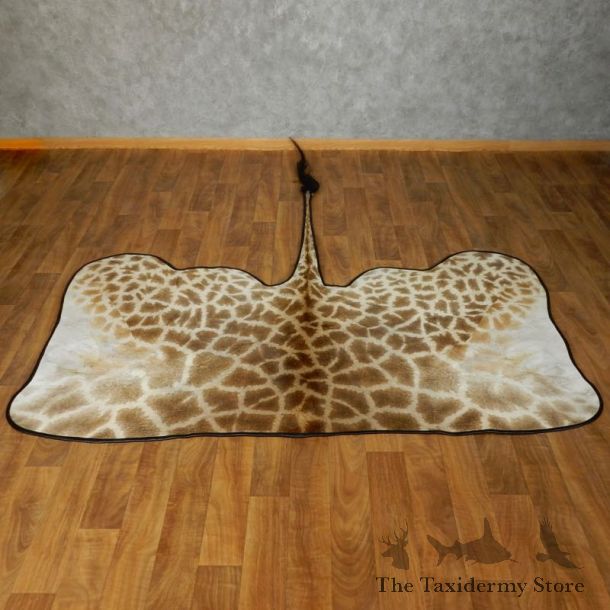 African Giraffe Taxidermy Rug For Sale #17428 @ The Taxidermy Store