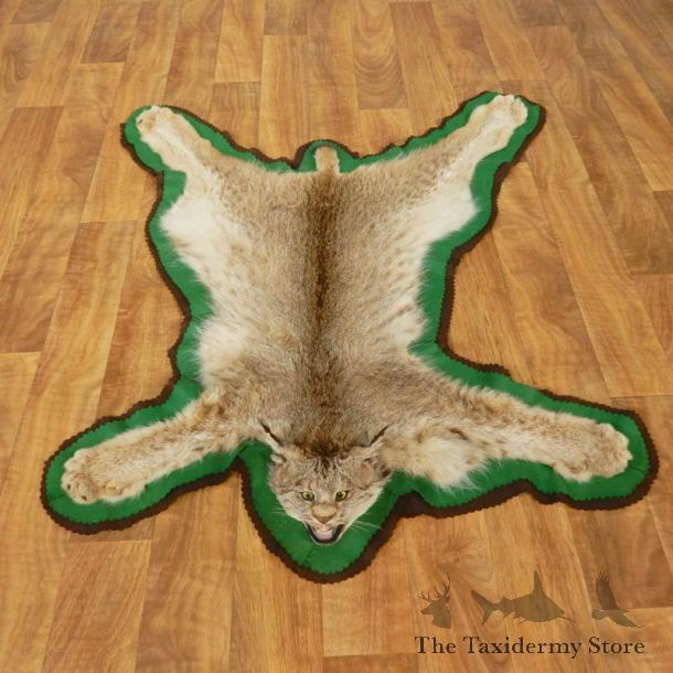 Lynx Taxidermy Rug Mount For Sale #17436 @ The Taxidermy Store