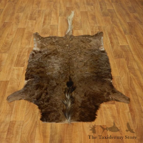 Black Wildebeest Hide Mount For Sale #17442 @ The Taxidermy Store