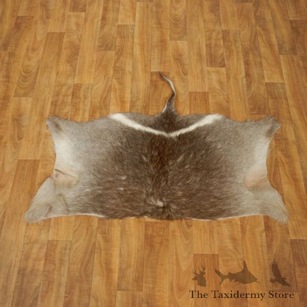 Waterbuck Hide Mount For Sale #17457 @ The Taxidermy Store