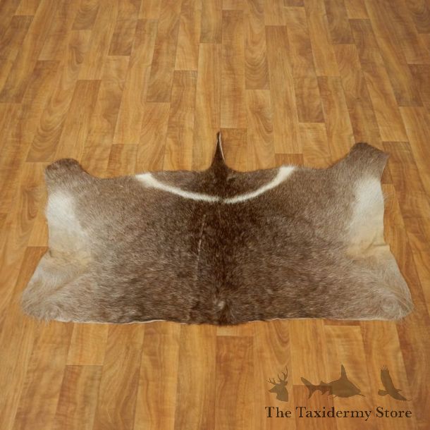 Waterbuck Hide Mount For Sale #17468 @ The Taxidermy Store