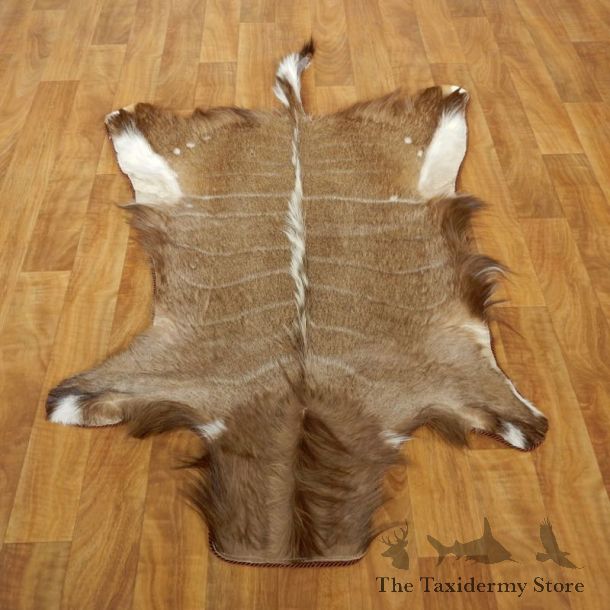 Nyala Rug Mount For Sale #17496 @ The Taxidermy Store