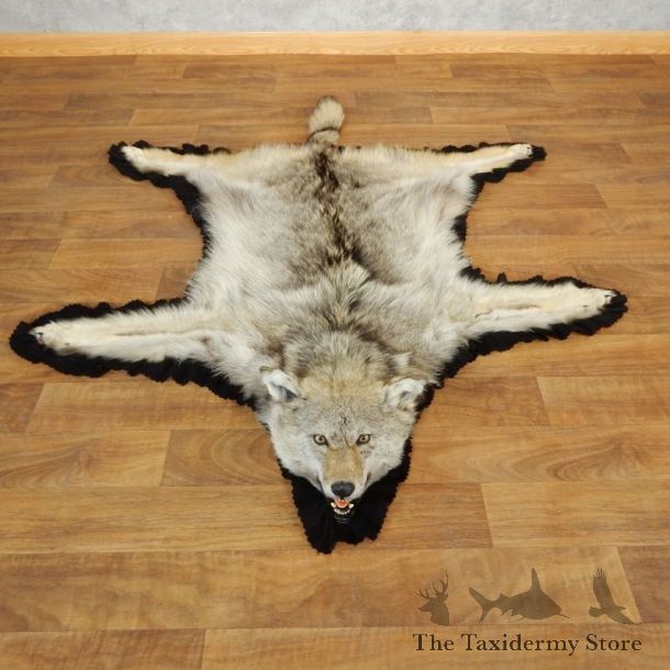 Coyote Rug Taxidermy Mount For Sale #17863 @ The Taxidermy Store