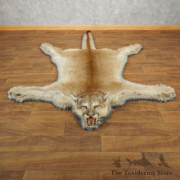 Mountain Lion Full-Size Rug For Sale #17865 @ The Taxidermy Store