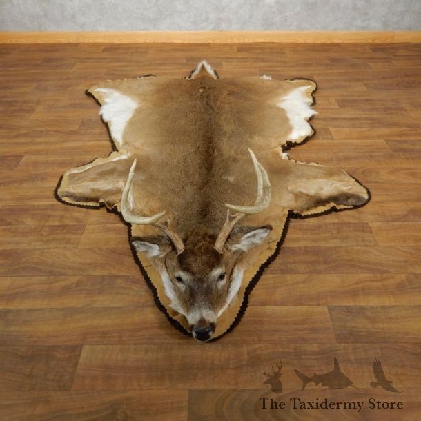 Whitetail Deer Taxidermy Rug Mount #17866 For Sale - The Taxidermy Store
