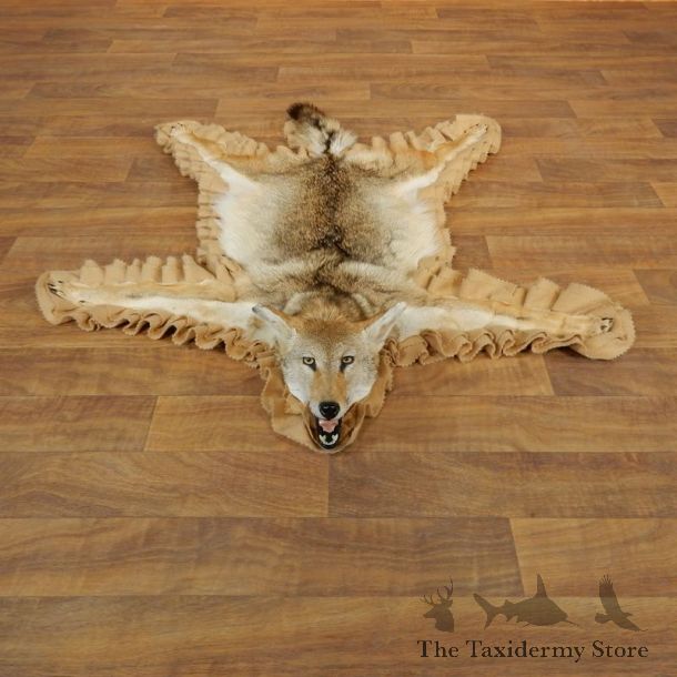 Coyote Rug Taxidermy Mount For Sale #17881 @ The Taxidermy Store