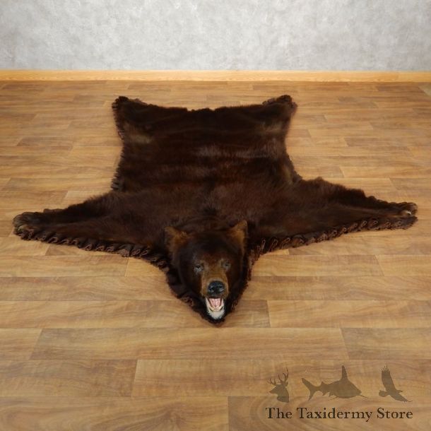 Brown Bear Taxidermy Rug with Mounted Head 17890 For Sale @ The Taxidermy Store