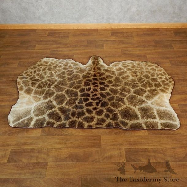 African Giraffe Taxidermy Rug For Sale #18207 @ The Taxidermy Store