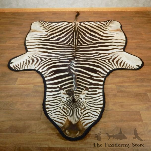 African Zebra Full-Size Taxidermy Rug For Sale #18208 @ The Taxidermy Store