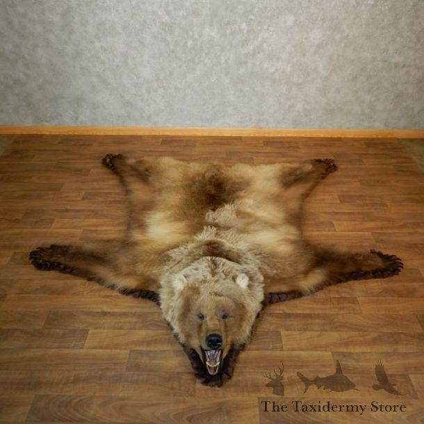 Grizzly Bear Taxidermy Rug Mount For Sale #18209 @ The Taxidermy Store