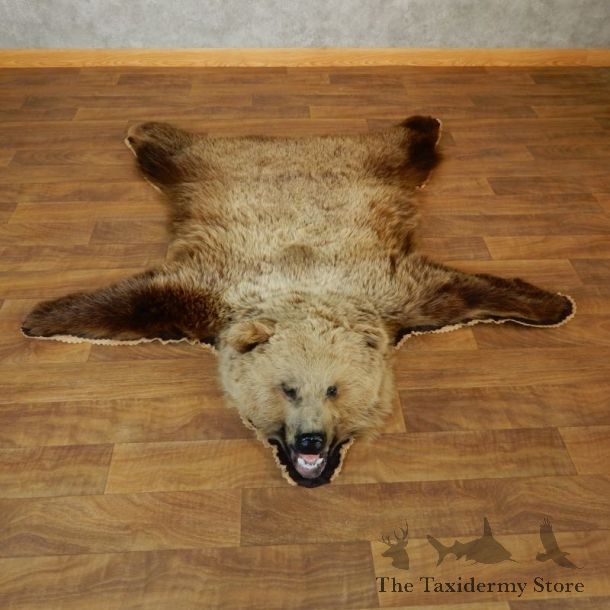 Grizzly Bear Taxidermy Rug Mount For Sale #18211 @ The Taxidermy Store