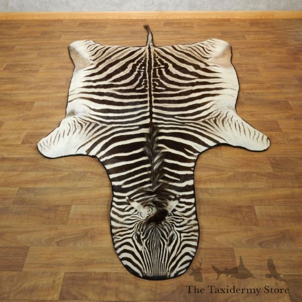 African Zebra Full-Size Taxidermy Rug For Sale #18212 @ The Taxidermy Store