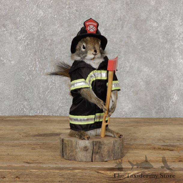 Firefighter Squirrel Novelty Mount For Sale #18899 @ The Taxidermy Store