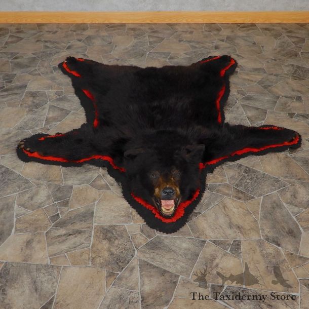 Black Bear Full-Size Rug For Sale #18972 @ The Taxidermy Store