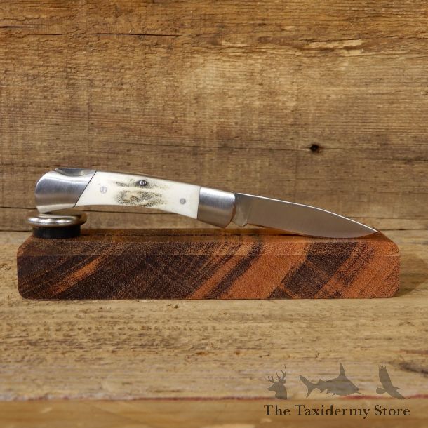 Mini Folding Pocket Knife with Elk Antler Handle For Sale #19221@ The Taxidermy Store
