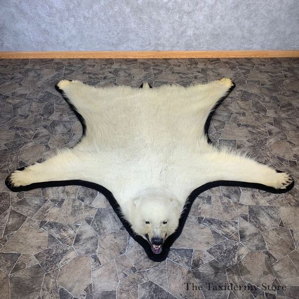 Polar Bear Taxidermy Rug #21223 For Sale @ The Taxidermy Store