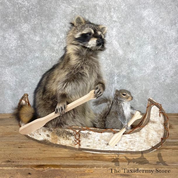 Canoeing Squirrel and Raccoon Novelty Mount For Sale #24444 @ The Taxidermy Store