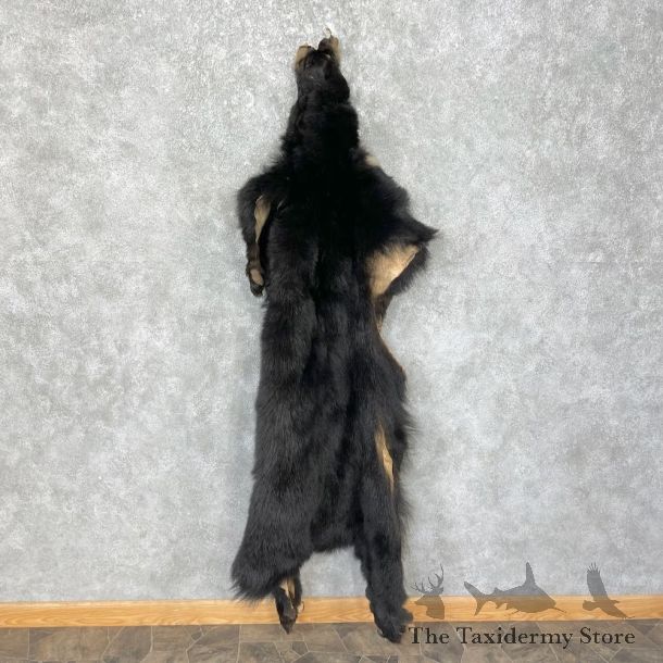 Tanned Black Bear Wall Hanging Pelt For Sale #25314 - The Taxidermy Store