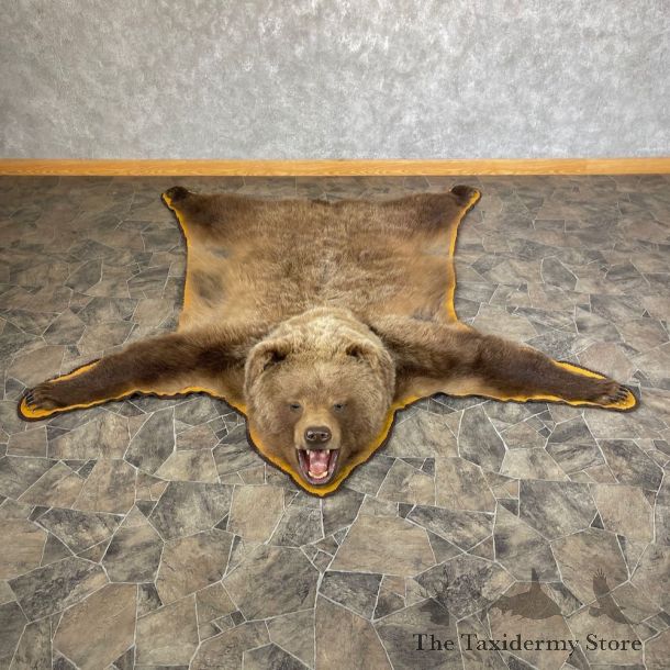 Grizzly Bear Taxidermy Rug Mount For Sale #26301 @ The Taxidermy Store