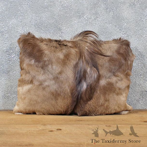 African Springbok Hide Pillow #12050 For Sale @ The Taxidermy Store