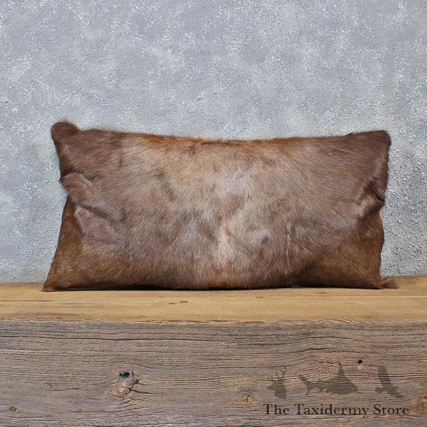 African Blesbok Hide Pillow #12047 For Sale @ The Taxidermy Store