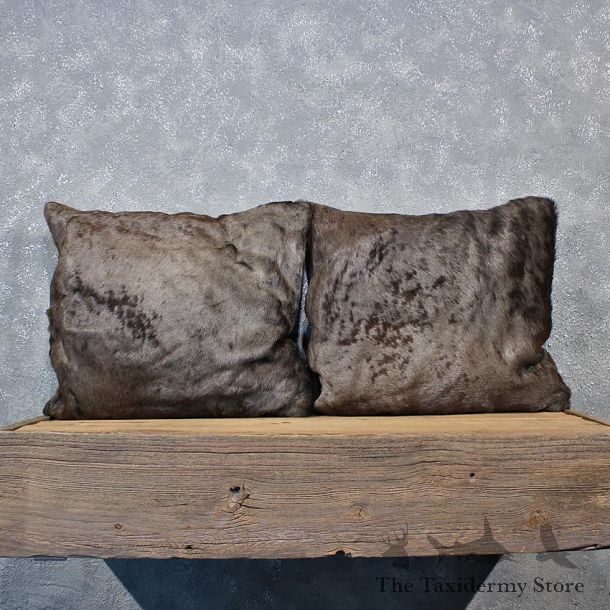 African Blue Wildebeest Hide Pillow Set #12048 For Sale @ The Taxidermy Store