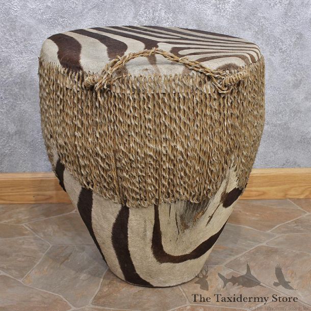 African Zebra Taxidermy Skin Drum #12443 For Sale @ The Taxidermy Store