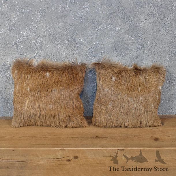 African Bushbuck Hide Pillow Set #12054 For Sale @ The Taxidermy Store