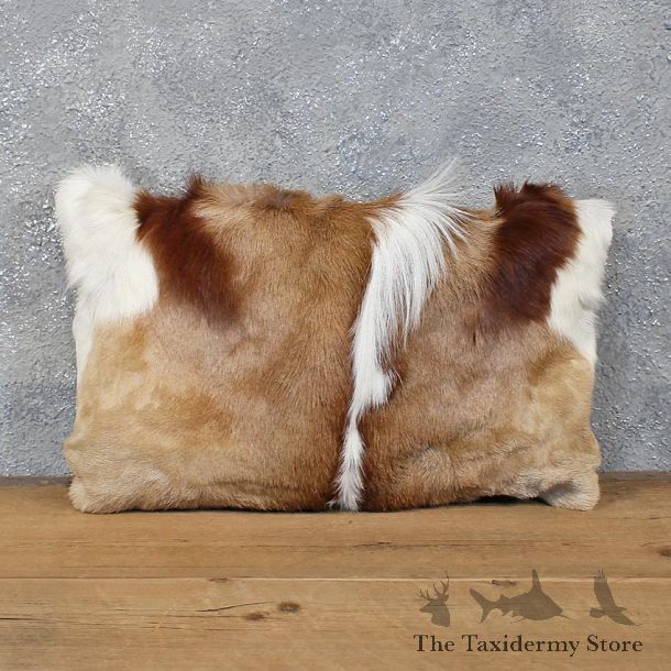 African Springbok Hide Pillow #12055 For Sale @ The Taxidermy Store