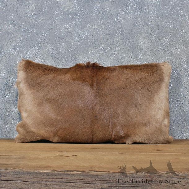 African Impala Hide Pillow #12052 For Sale @ The Taxidermy Store