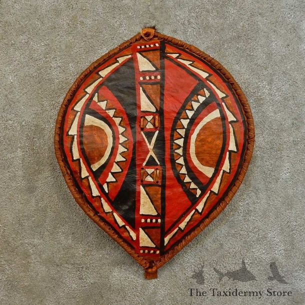 African Massai Warrior Shield For Sale #16534 @ The Taxidermy Store