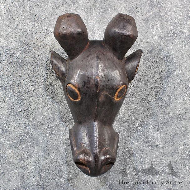 Original African Giraffe Mask Carving #11618 - For Sale @ The Taxidermy Store