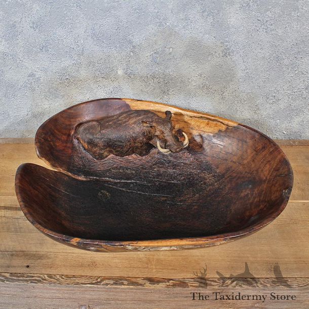 Warthog Wooden Bowl Carving #12046 For Sale @ The Taxidermy Store