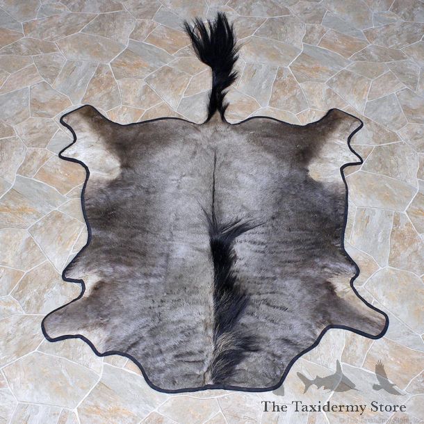 African Wildebeest Full Rug Mount #12335 For Sale @ The Taxidermy Store