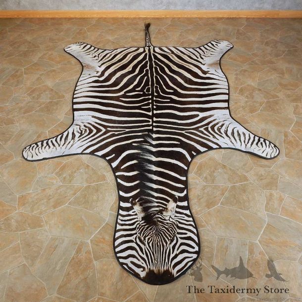 African Zebra Full-Size Rug For Sale #15704 @ The Taxidermy Store